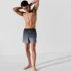 IKON OMBRÉ BOARDSHORTS IKON OMBRÉ BOARDSHORTS
